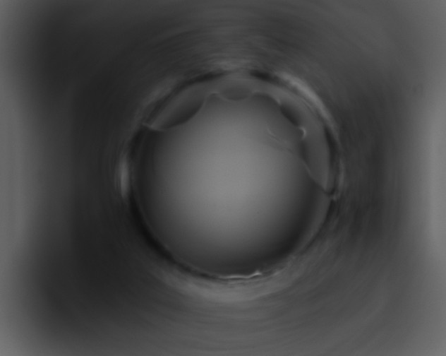 X0000095680019200801081238