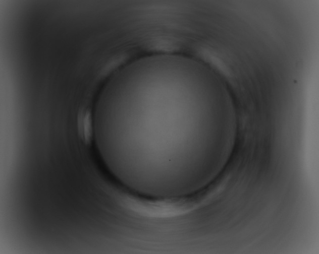 X0000095680020200801081238