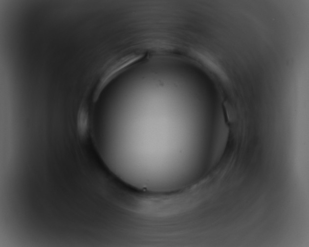 X0000095680021200801081238