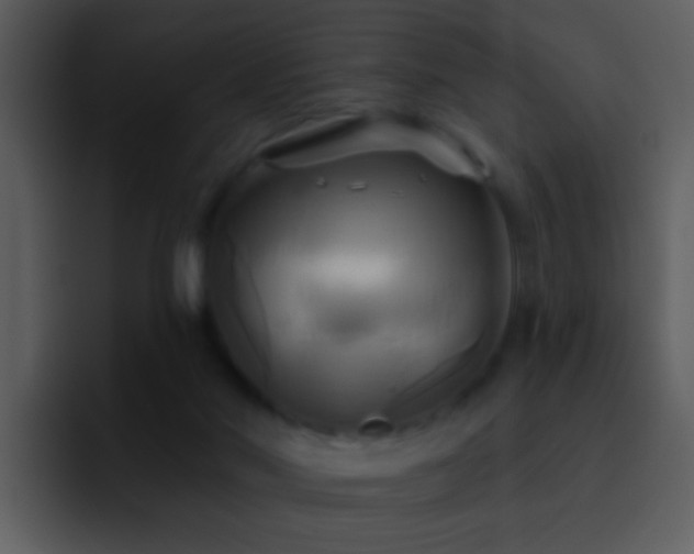 X0000095680022200801081238
