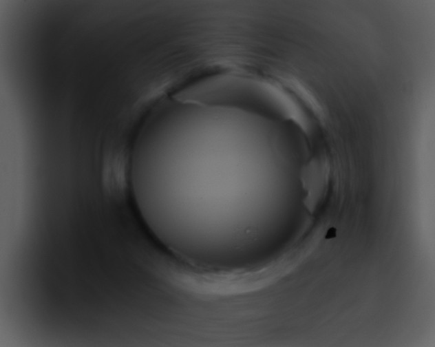 X0000095680023200801081238