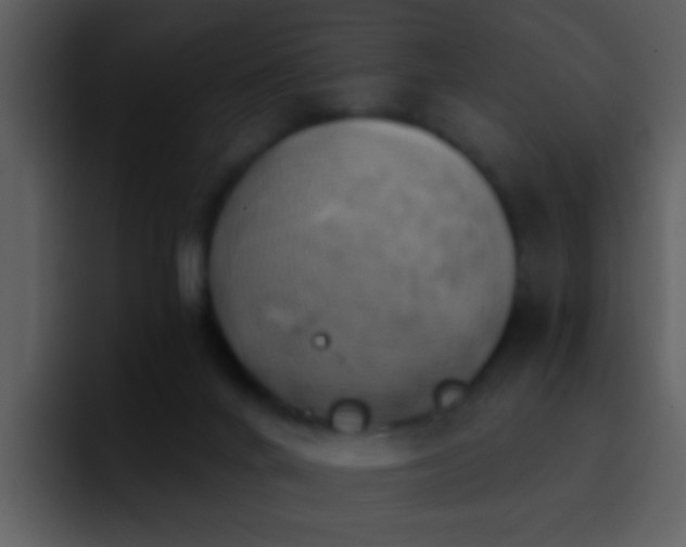 X0000095680024200801081238
