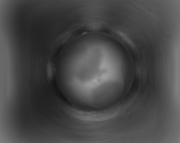 X0000095680026200801081238