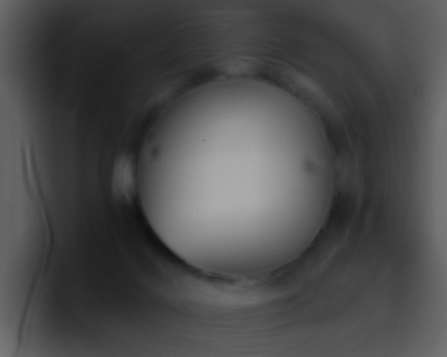 X0000095680028200801081238