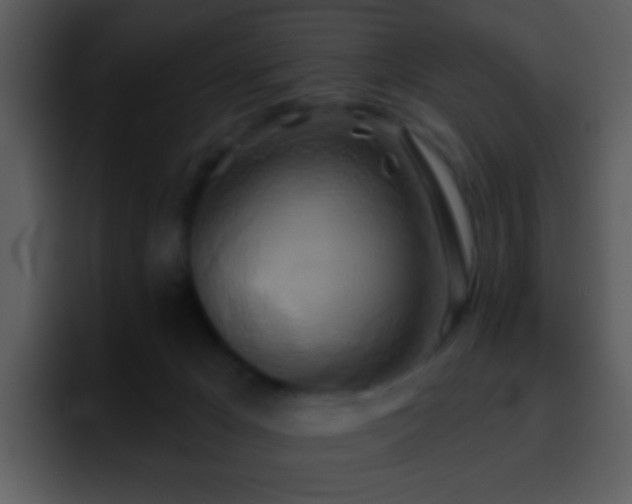 X0000095680029200801081238