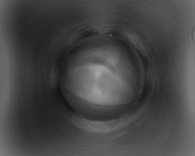 X0000095680030200801081238