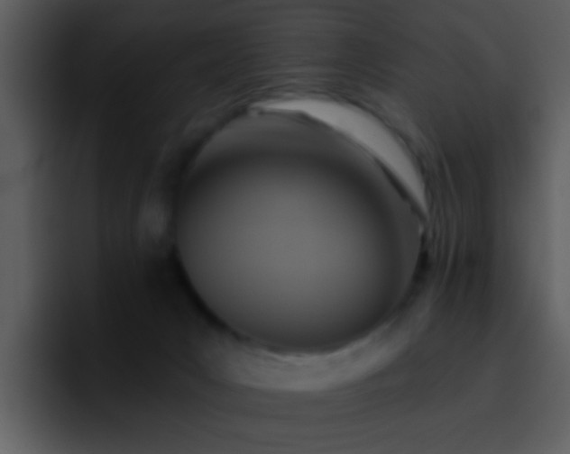 X0000095680031200801081238