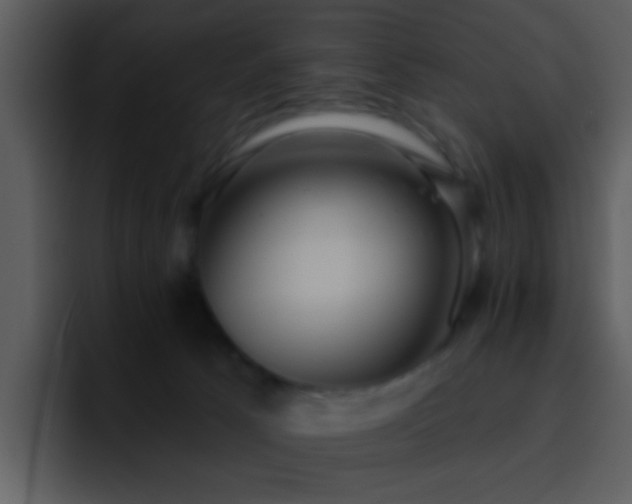 X0000095680033200801081238