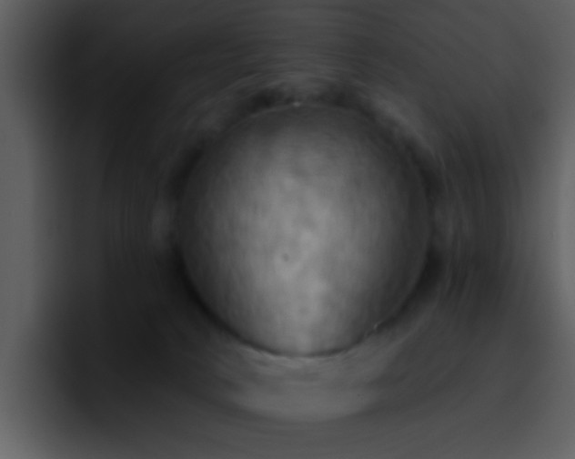 X0000095680034200801081238