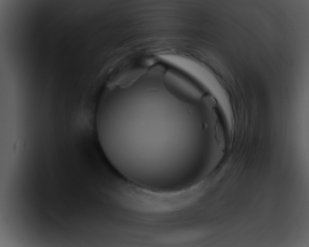 X0000095680035200801081238