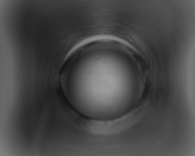 X0000095680037200801081237