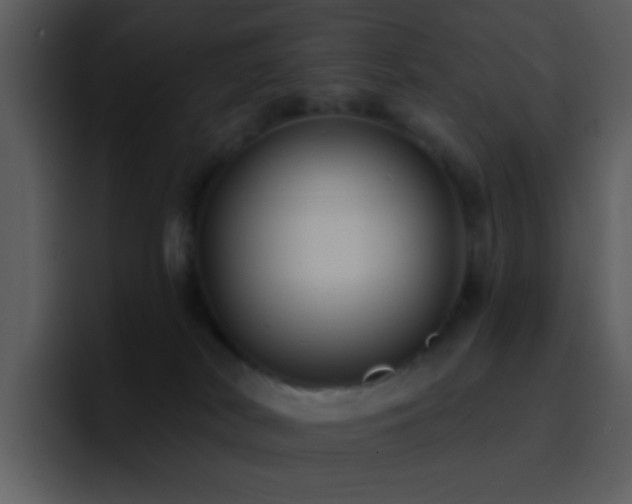 X0000095680038200801081237