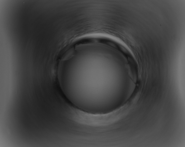 X0000095680039200801081237