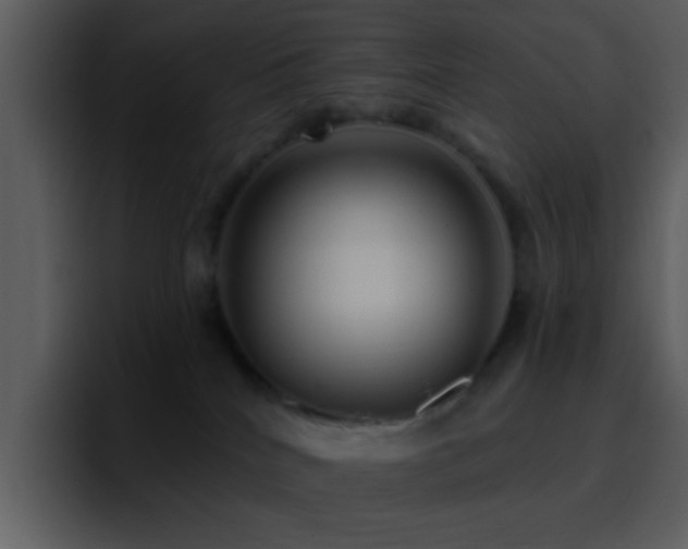 X0000095680040200801081237