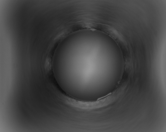 X0000095680043200801081237