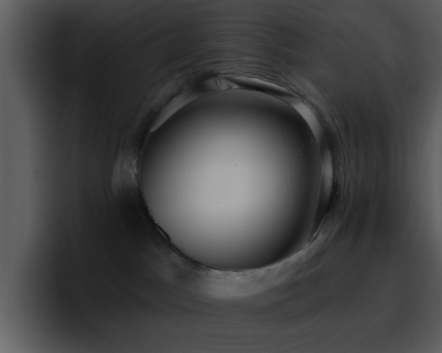 X0000095680045200801081237