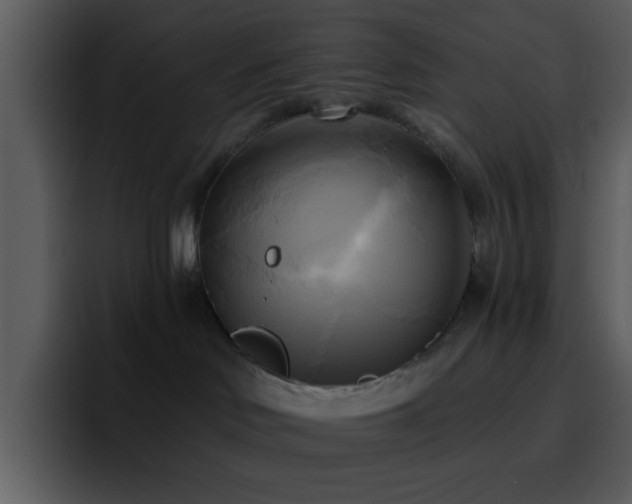 X0000095680046200801081237