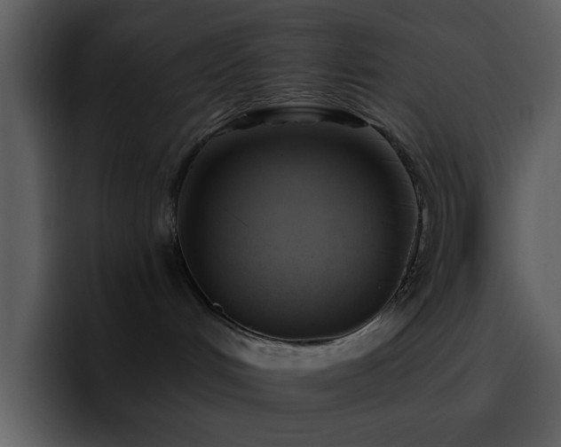 X0000095680048200801081237