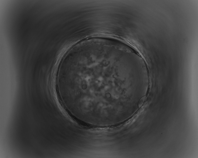 X0000095680049200801081237