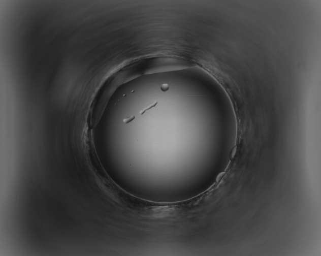 X0000095680050200801081237