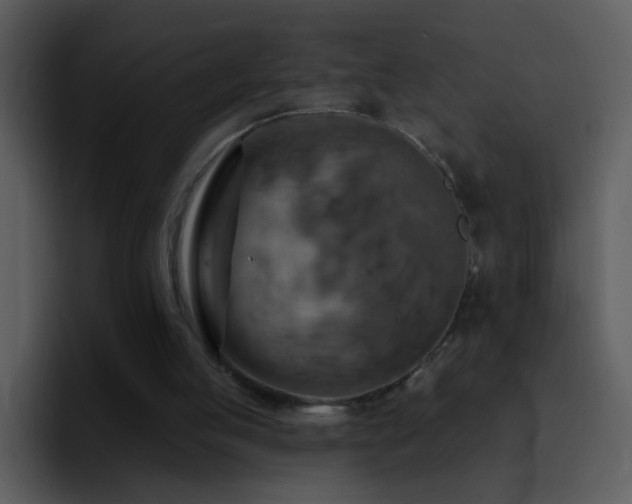X0000095680053200801081237