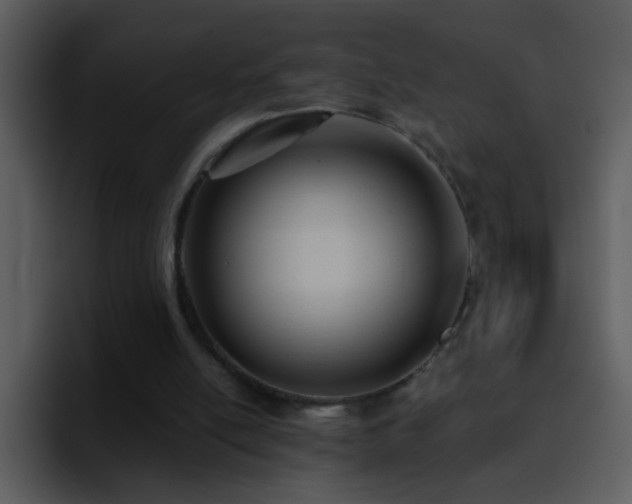 X0000095680054200801081237