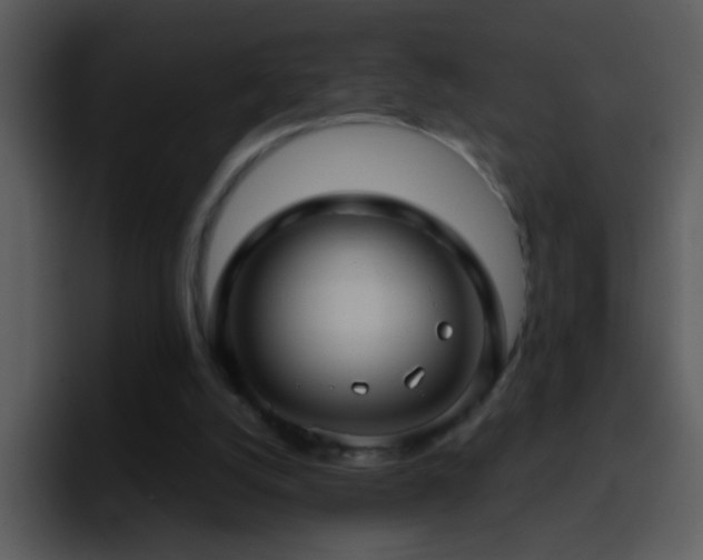 X0000095680056200801081237