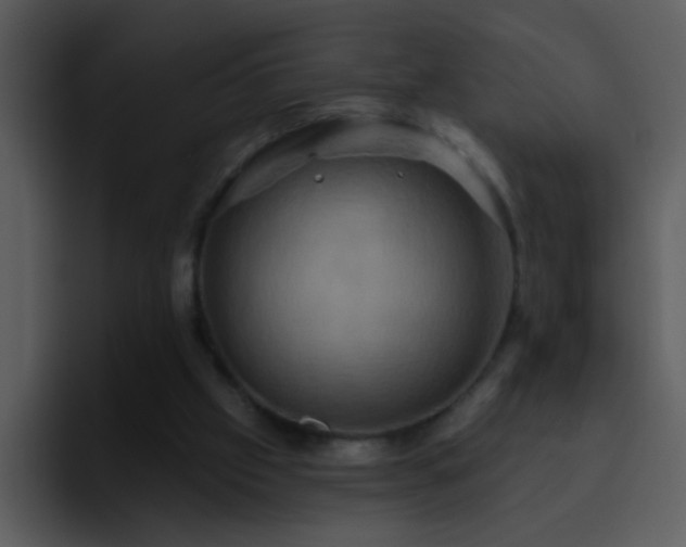 X0000095680057200801081237