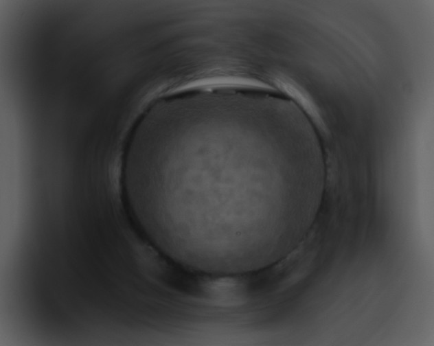 X0000095680058200801081237