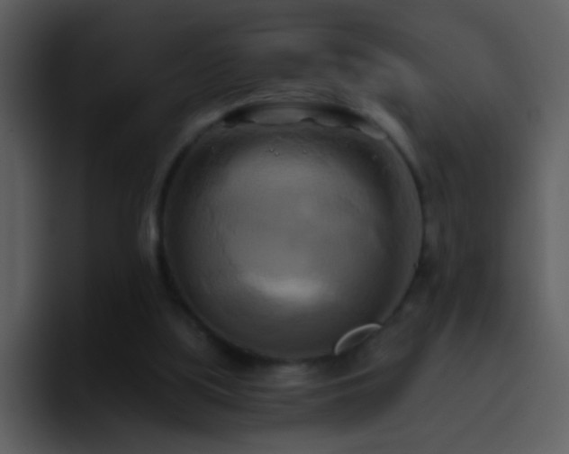 X0000095680059200801081237