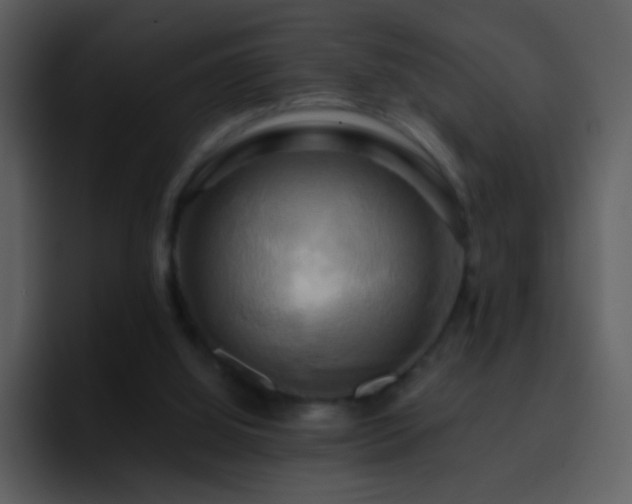 X0000095680060200801081237