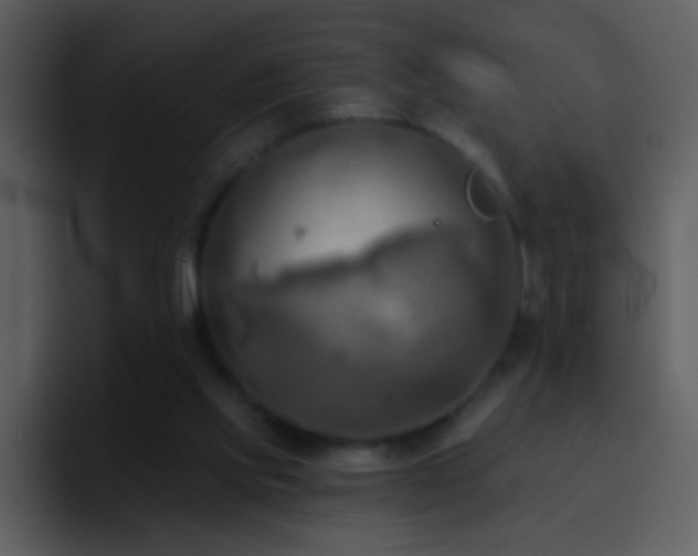 X0000095680061200801081237
