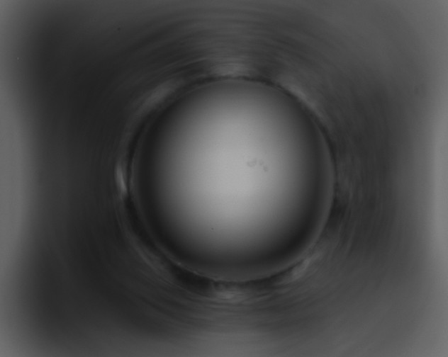 X0000095680062200801081237