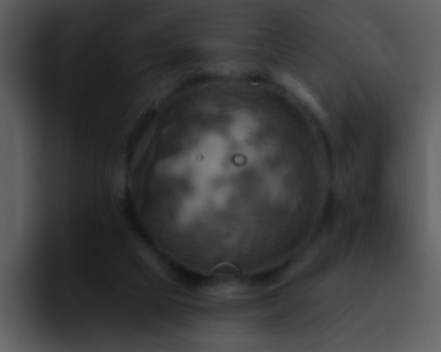 X0000095680065200801081237
