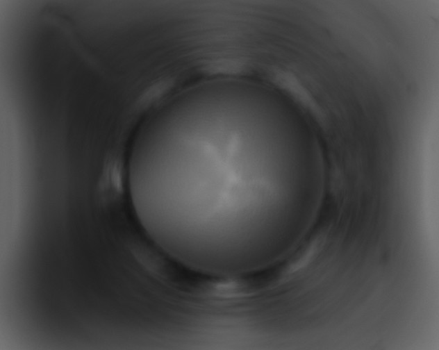 X0000095680068200801081237