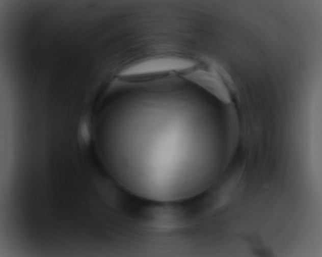 X0000095680069200801081237
