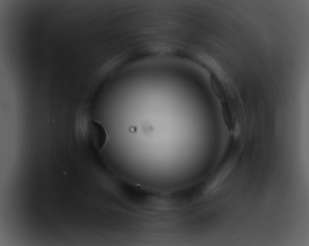 X0000095680071200801081237