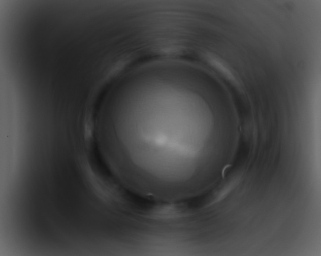 X0000095680072200801081237