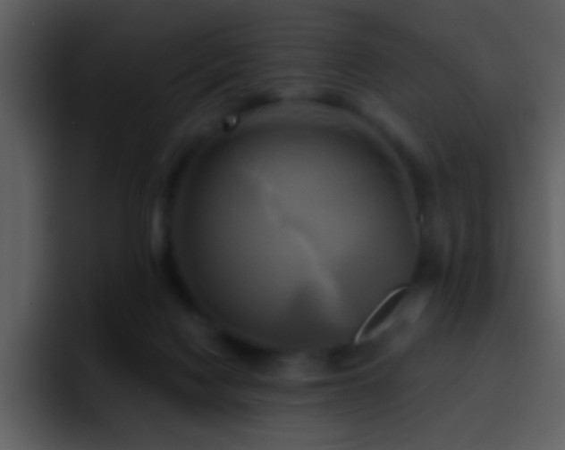 X0000095680074200801081237