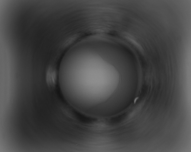X0000095680076200801081237