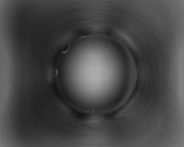 X0000095680077200801081237