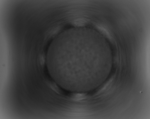 X0000095680081200801081237