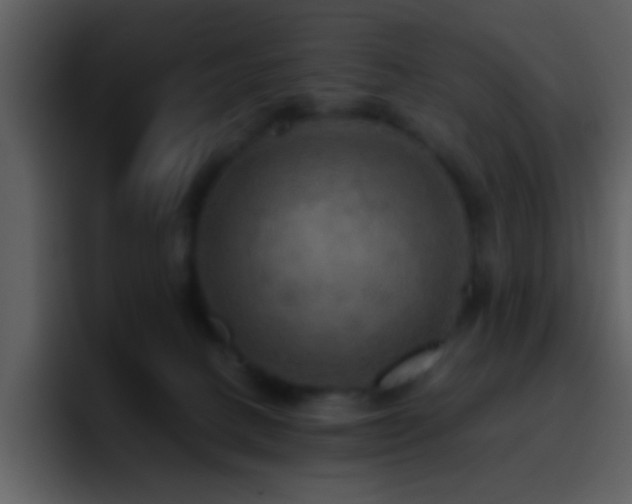 X0000095680082200801081237