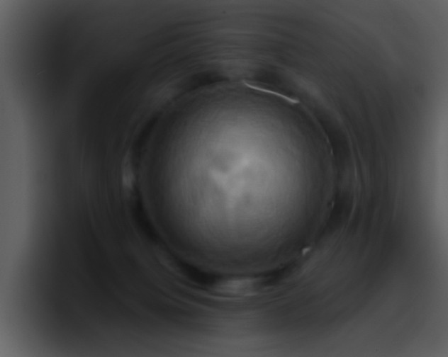 X0000095680084200801081237