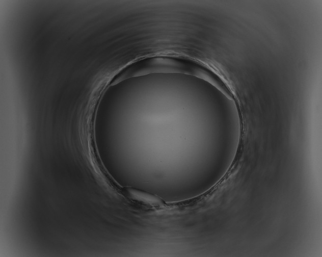 X0000095680097200801081237