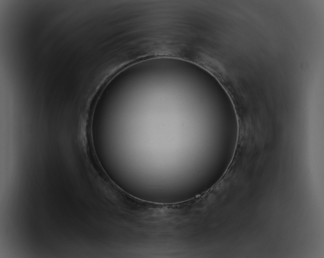 X0000095680098200801081237