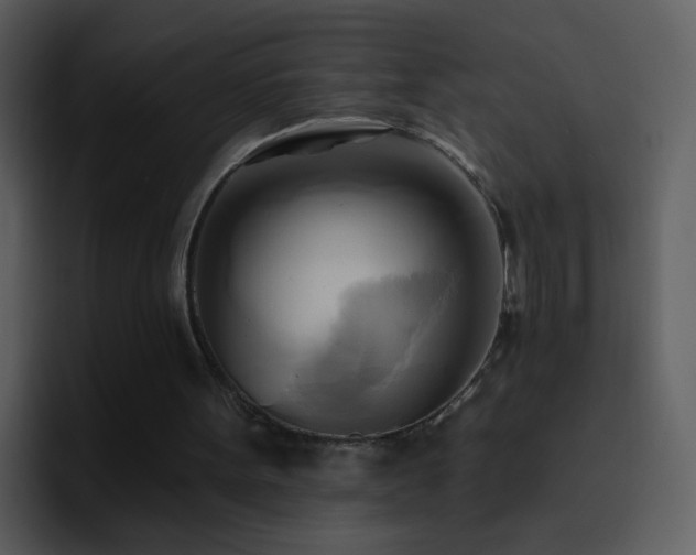 X0000095680099200801081237