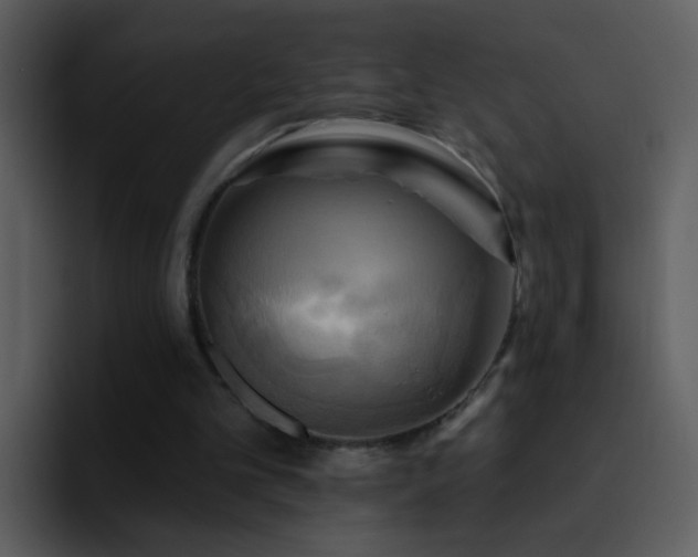 X0000095680101200801081237