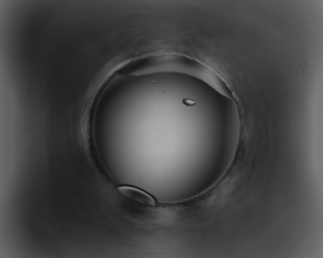 X0000095680103200801081237