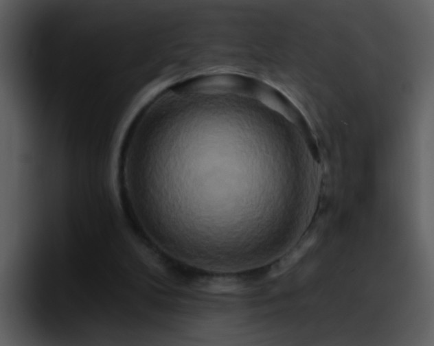 X0000095680104200801081237